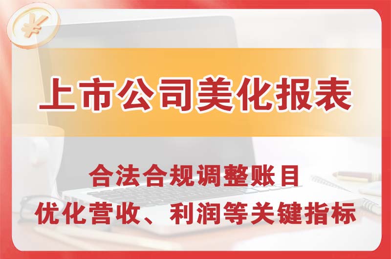 琼海上市公司美化报表